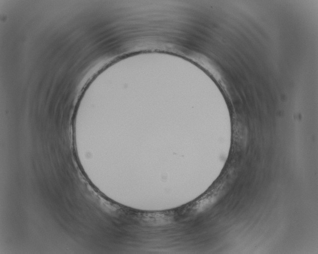 X0000077400807200611032025