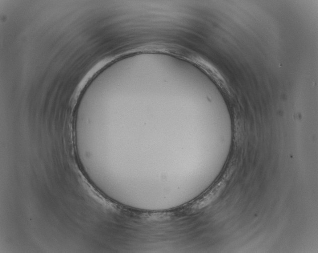 X0000077400808200611032025