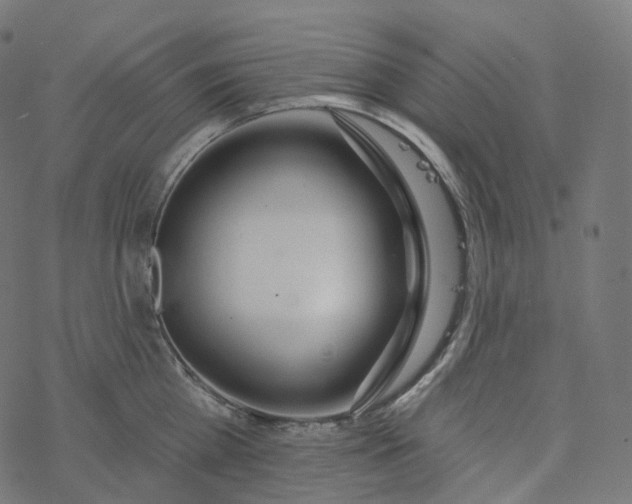 X0000077400809200611032025