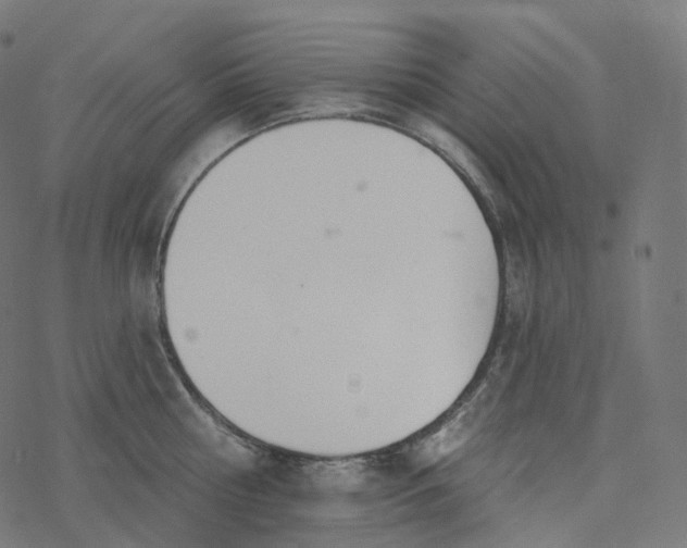 X0000077400810200611032025