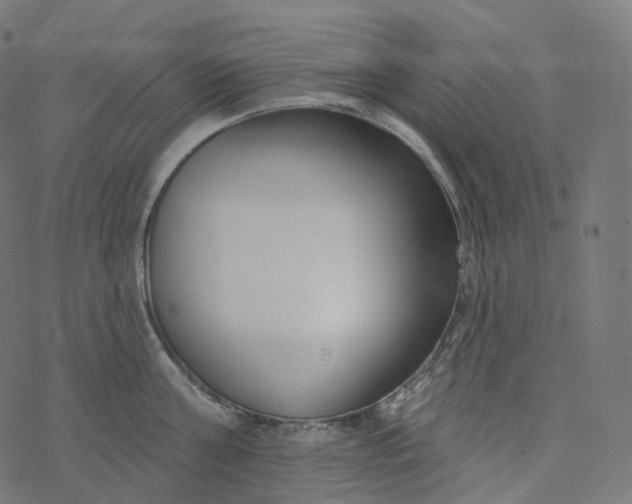 X0000077400811200611032025