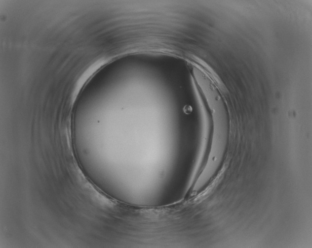 X0000077400812200611032025