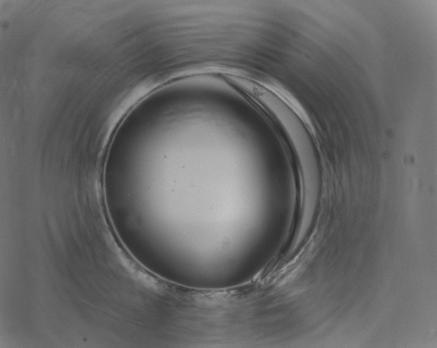 X0000077400813200611032025