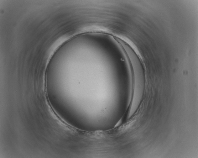 X0000077400815200611032025