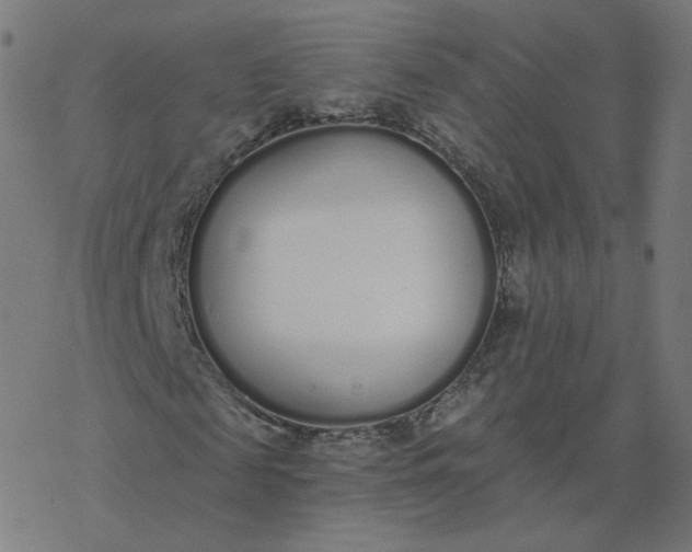 X0000077400817200611032024