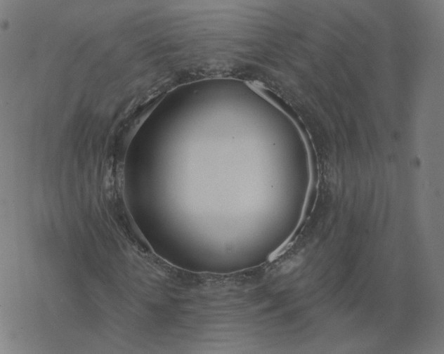 X0000077400818200611032024