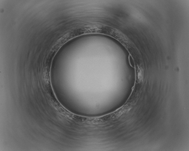 X0000077400819200611032024