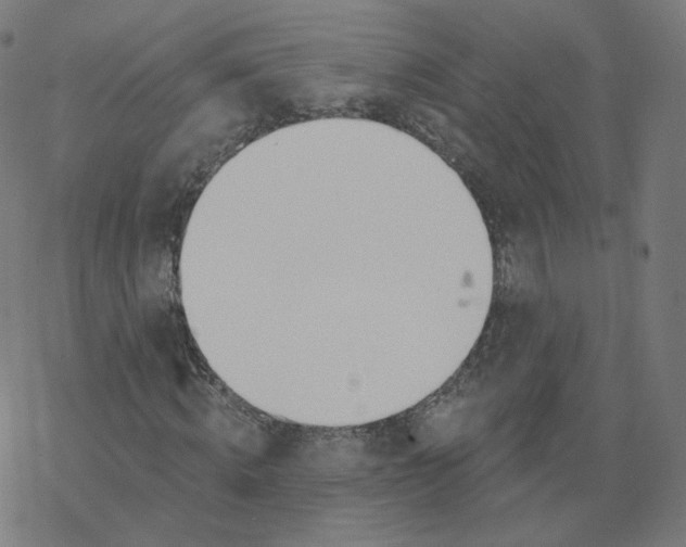 X0000077400820200611032024