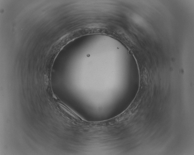 X0000077400821200611032024