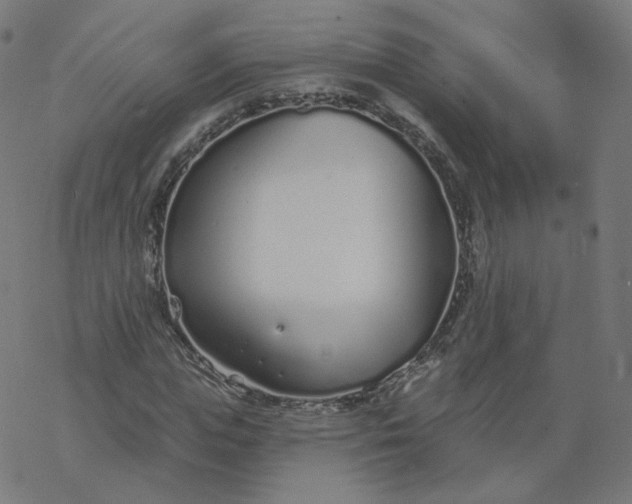 X0000077400823200611032024