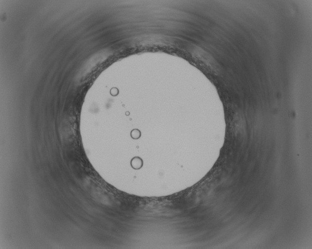 X0000077400824200611032024