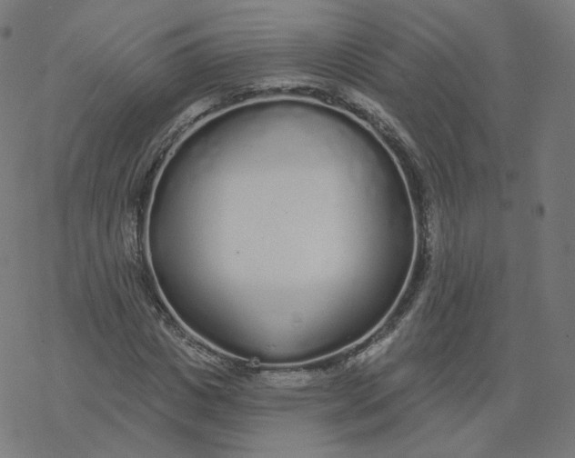 X0000077400825200611032024