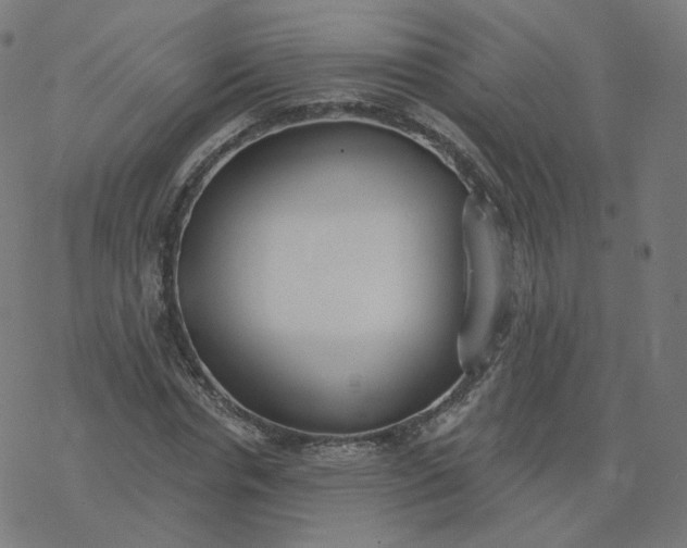 X0000077400826200611032024