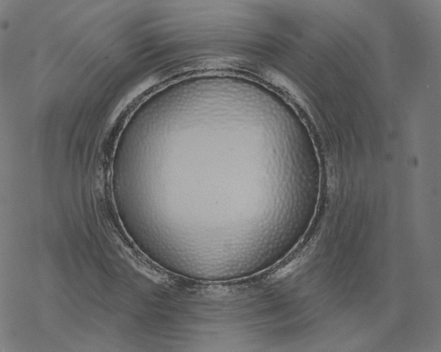 X0000077400827200611032024