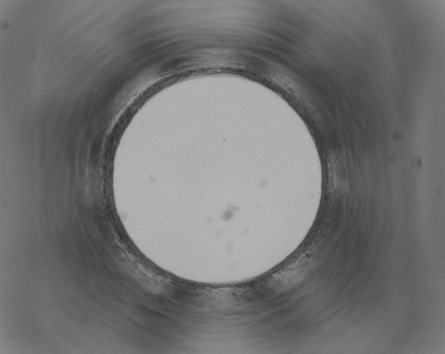 X0000077400828200611032024