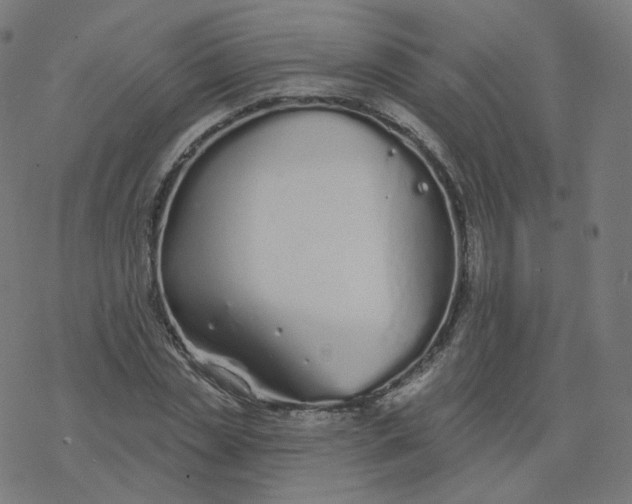 X0000077400829200611032024