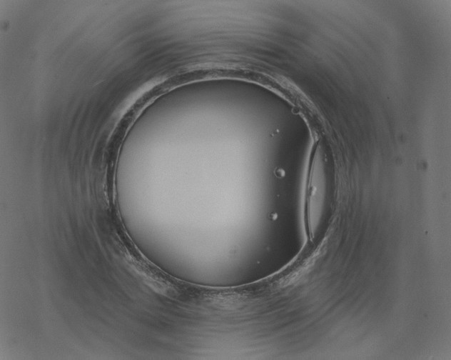 X0000077400830200611032024