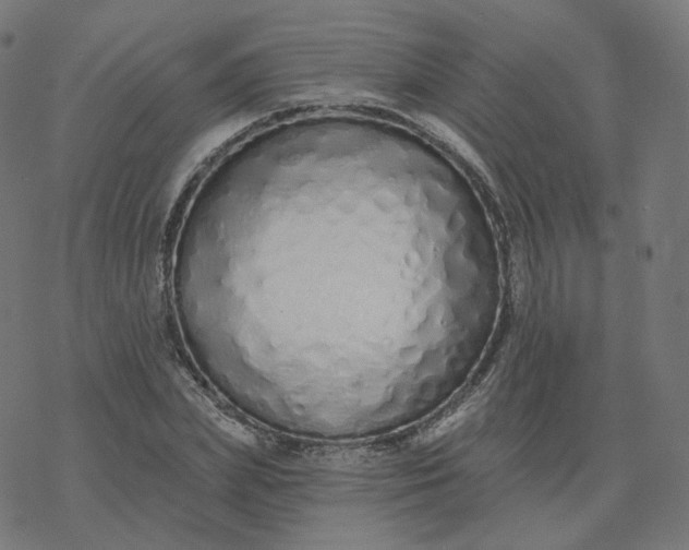 X0000077400831200611032024