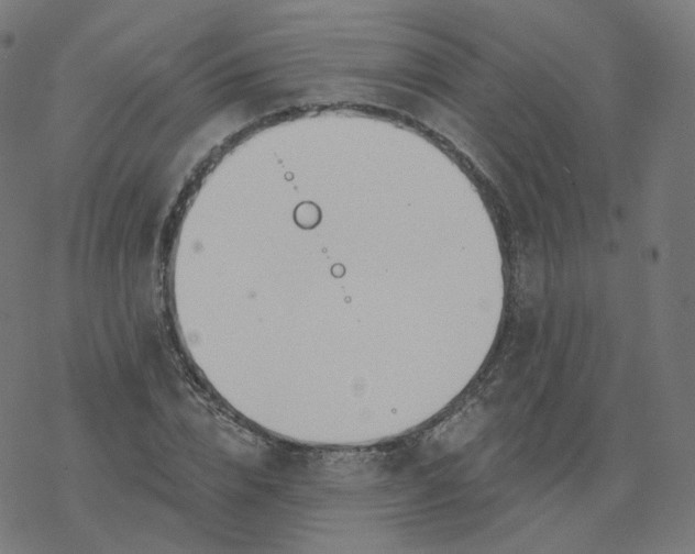 X0000077400832200611032024