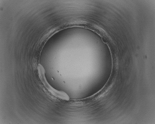 X0000077400833200611032024