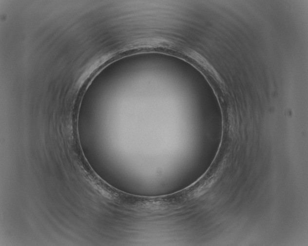 X0000077400834200611032024