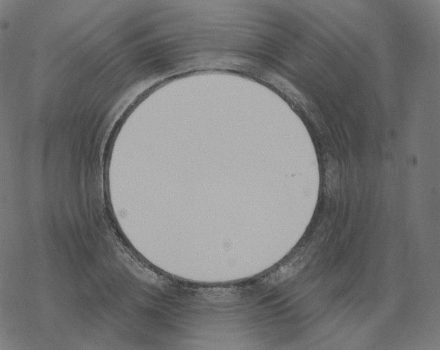 X0000077400836200611032024