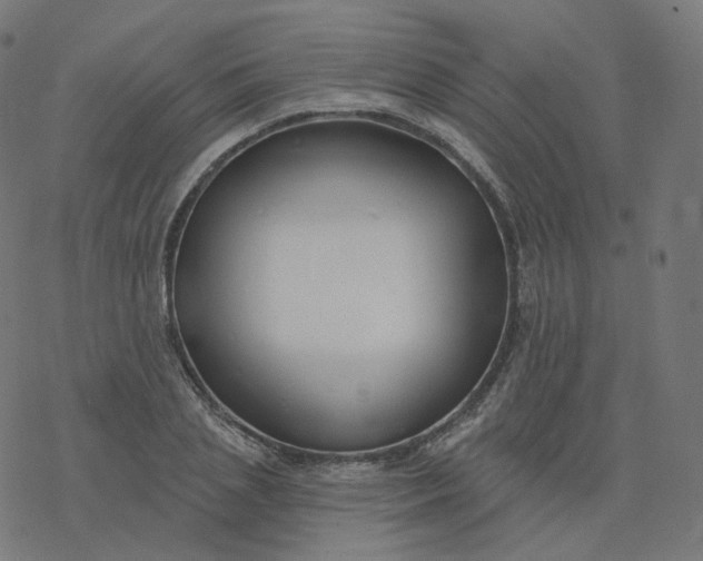 X0000077400837200611032024