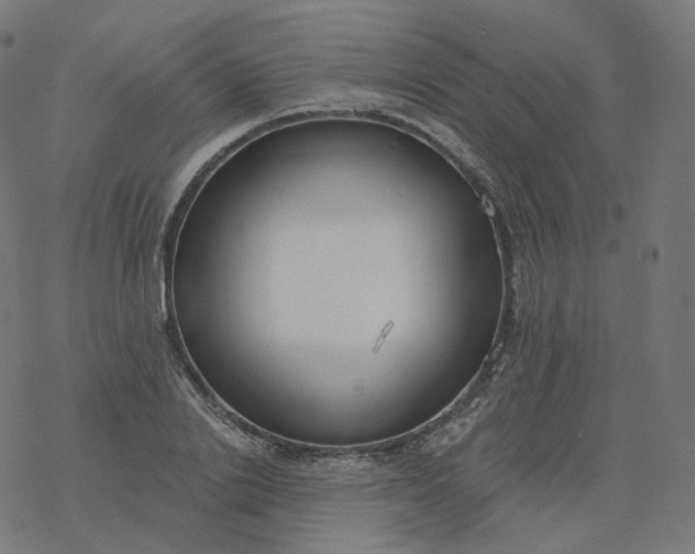 X0000077400838200611032024