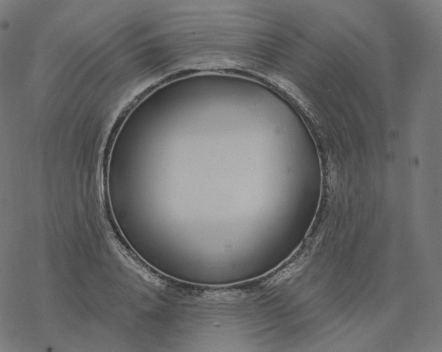 X0000077400840200611032024