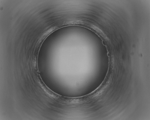 X0000077400841200611032024