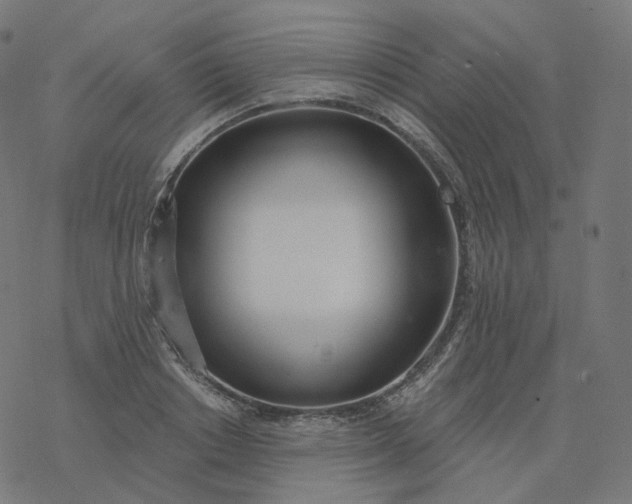 X0000077400842200611032024