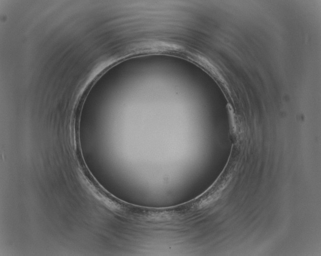 X0000077400843200611032024