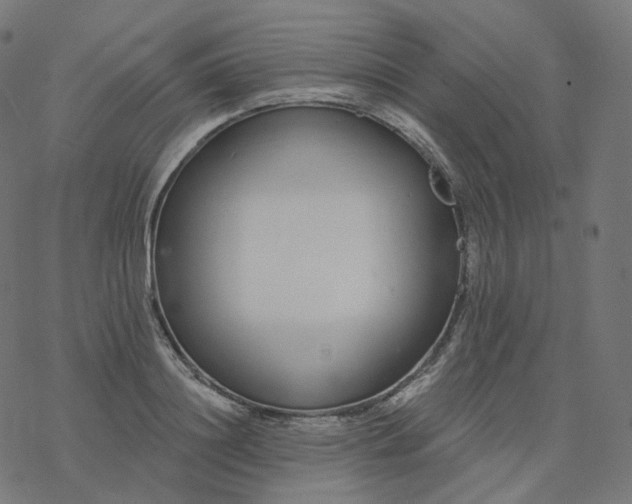 X0000077400844200611032024