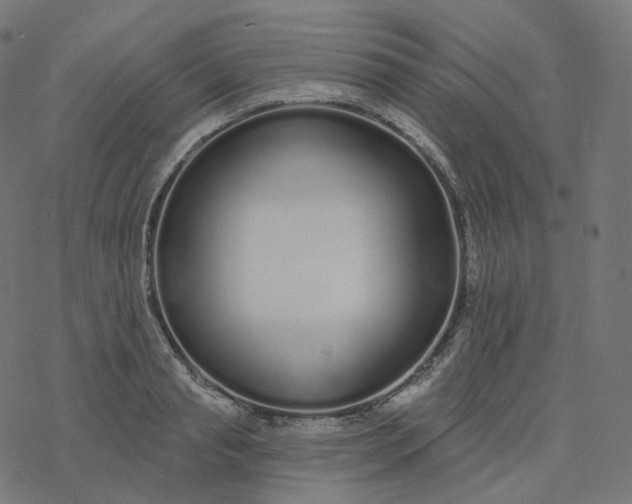 X0000077400845200611032024