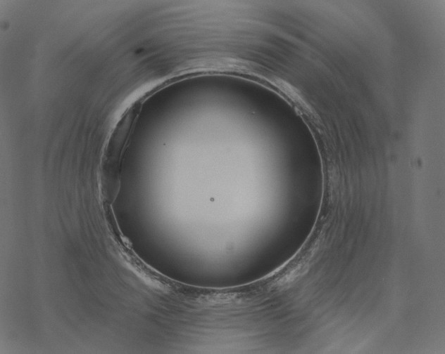 X0000077400846200611032024