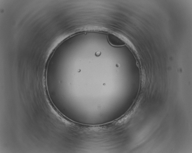 X0000077400847200611032024