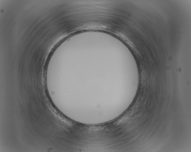 X0000077400848200611032024