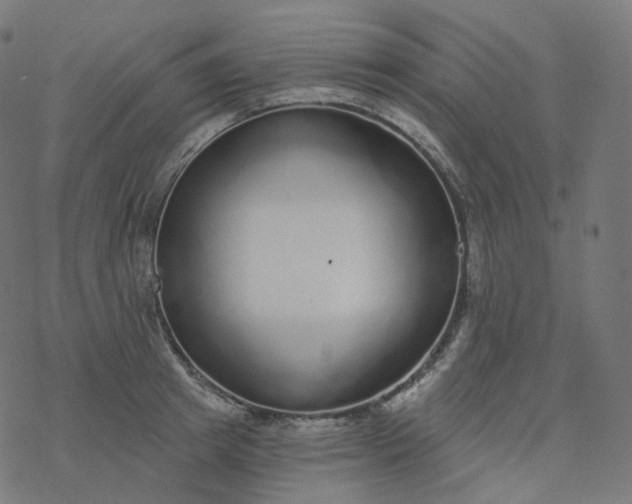 X0000077400849200611032024