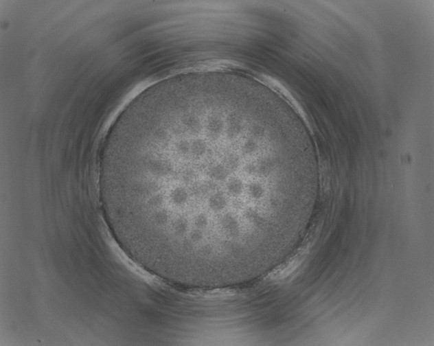 X0000077400851200611032025