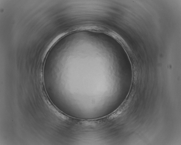 X0000077400852200611032025