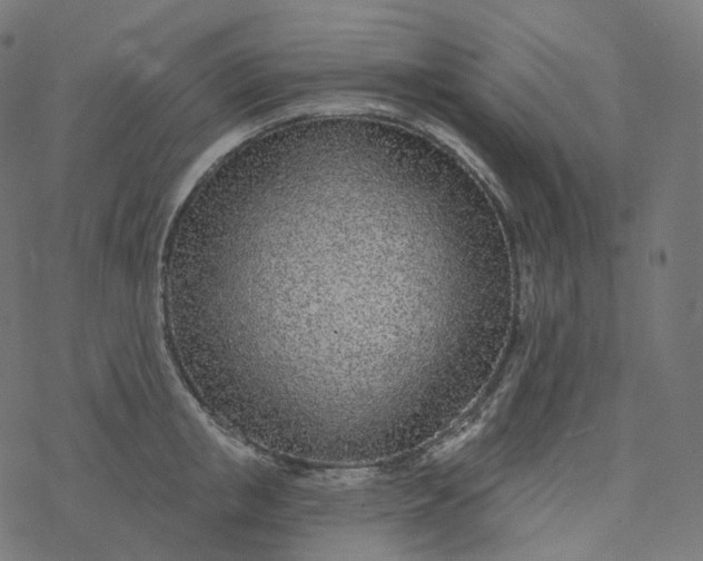 X0000077400853200611032025