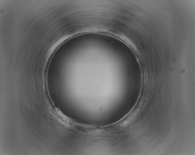 X0000077400854200611032025