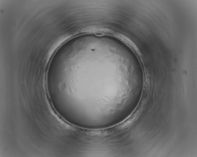 X0000077400855200611032025