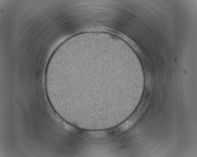 X0000077400856200611032025