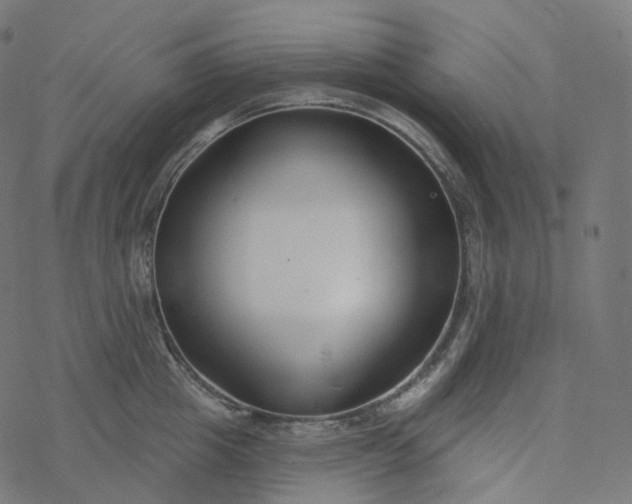 X0000077400857200611032025