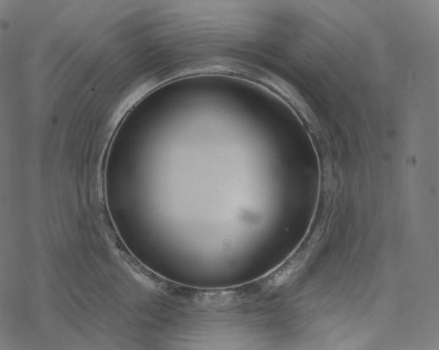 X0000077400858200611032025