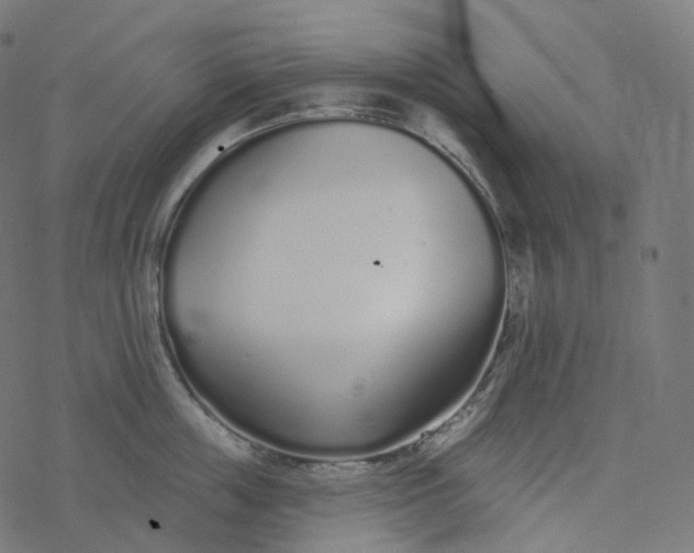 X0000077400859200611032025