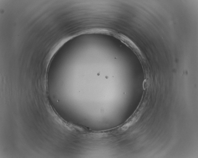 X0000077400860200611032025