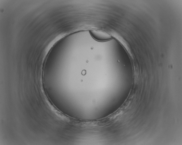 X0000077400861200611032025