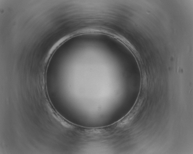 X0000077400862200611032025